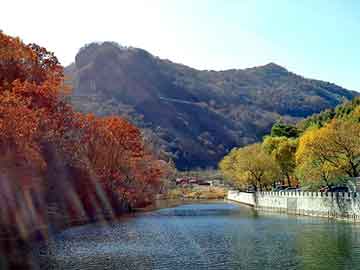 新澳天天开奖资料大全旅游团，番薯粉机